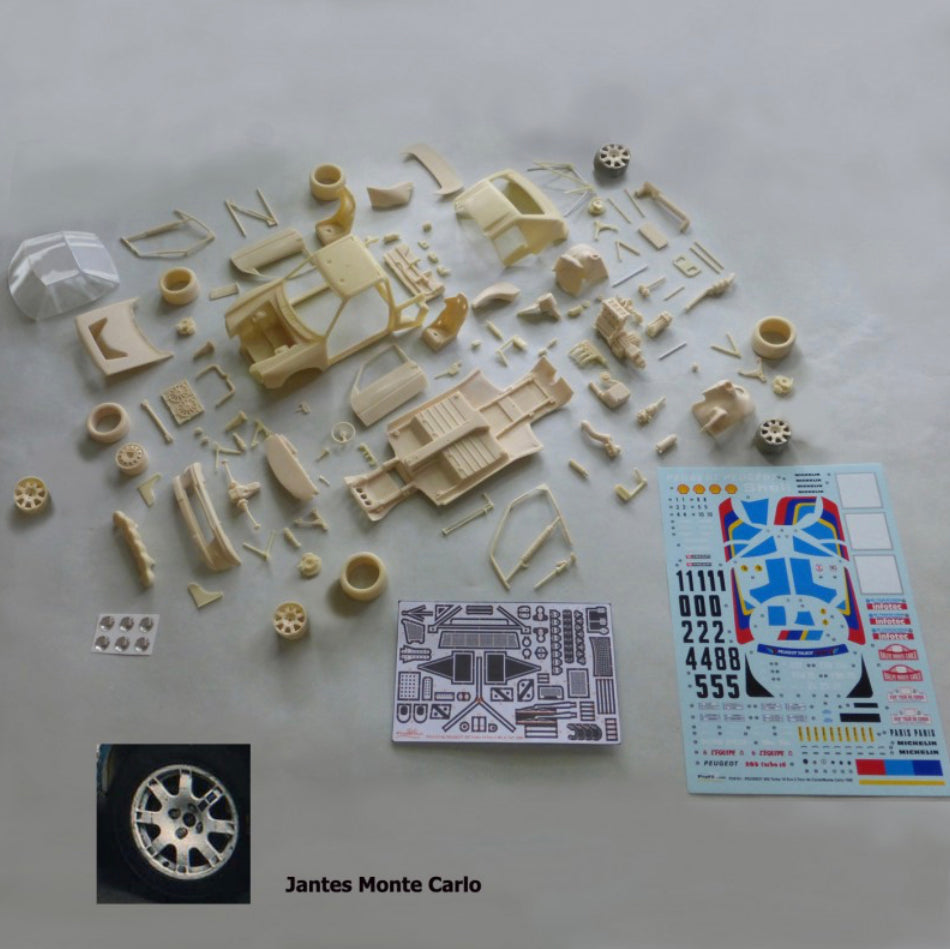 PEUGEOT 205 TURBO 16 EVO 2 - RALLY MONTE CARLO 1986