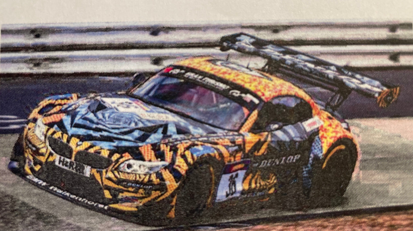 ADESIVOS BMW Z4 DUNLOP ARTCAR