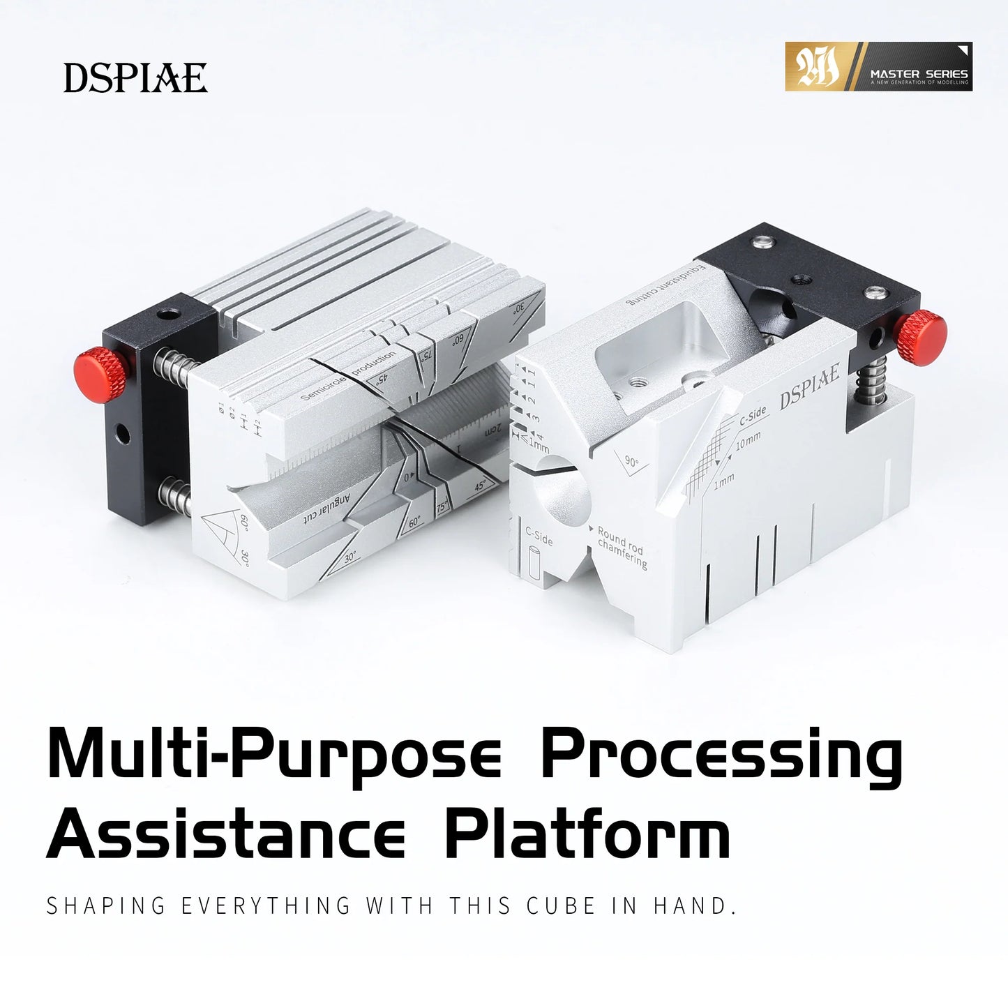Multi-purpose processing assistance platform DSPIAE