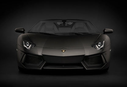 Lamborghini Aventador LP 700-4 Roadster Nero Nemesis - Kit 1:8 Scale