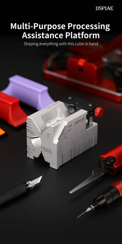 Multi-purpose processing assistance platform DSPIAE