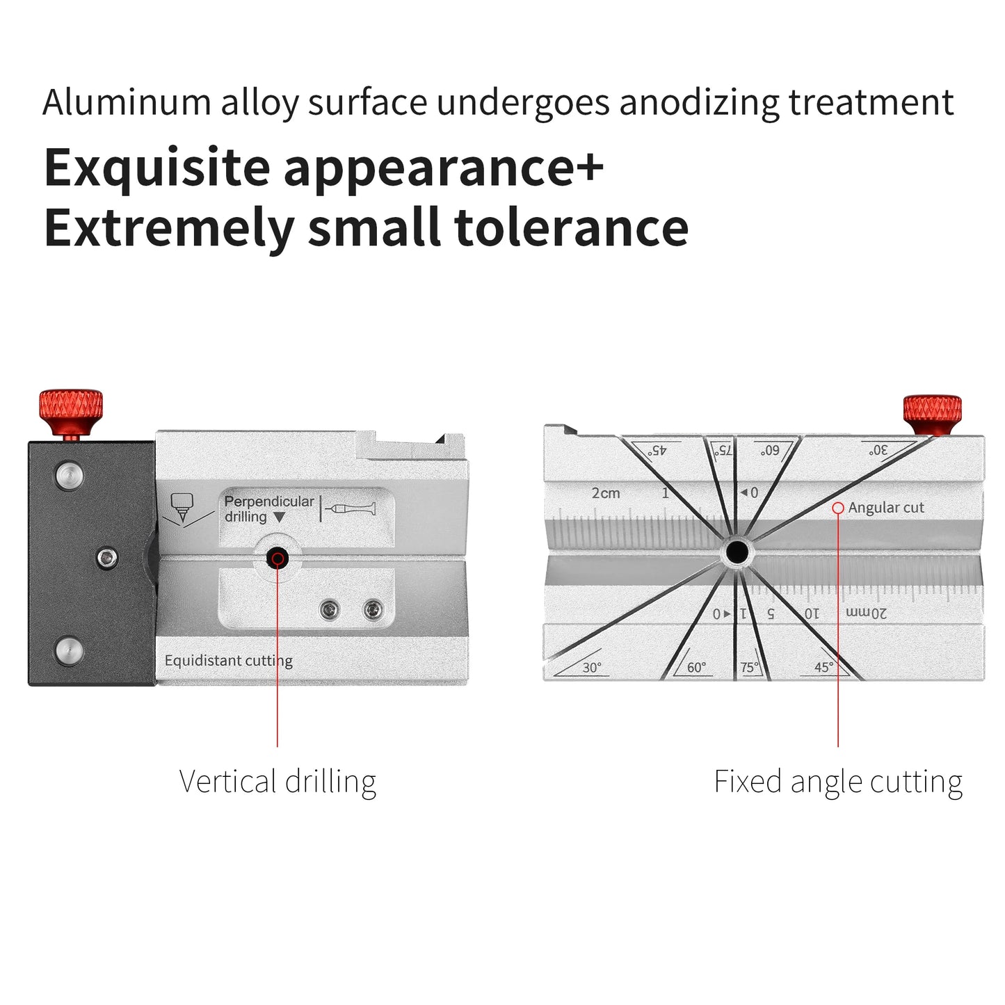 Multi-purpose processing assistance platform DSPIAE