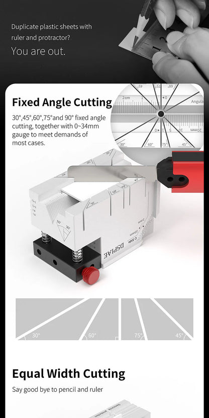 Multi-purpose processing assistance platform DSPIAE