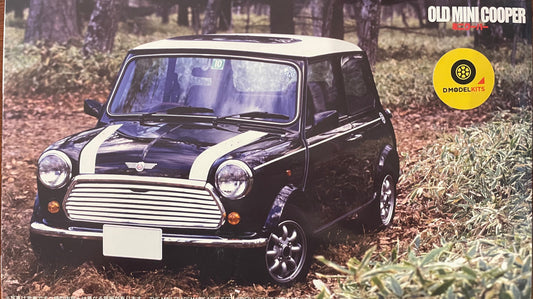 MINI COOPER ROVER