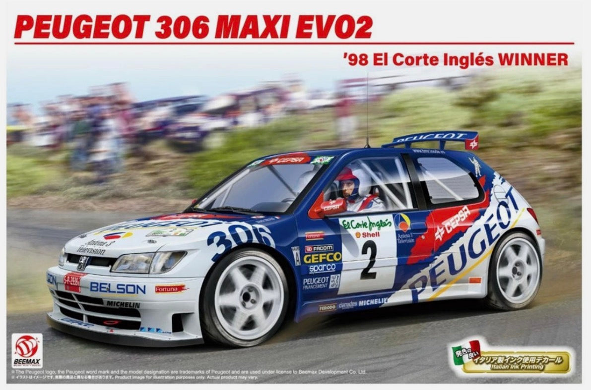 Detail Set-Up Peugeot 306 Maxi Evo 2