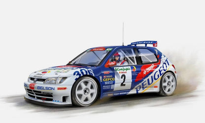 Peugeot 306 Maxi Evo 2 - Cepsa, Antena 3 - El Corte Ingles Rally Islas Canarias 1998