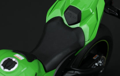 Kawasaki Ninja ZX-10RR (pre-painted)