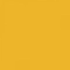 Ral 1023 Traffic Yellow