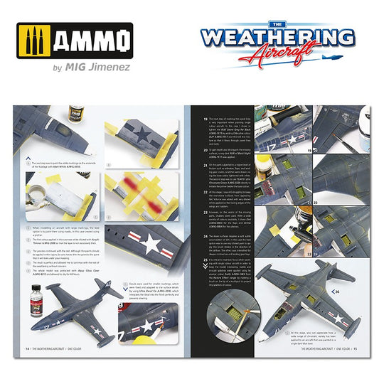 THE WEATHERING AIRCRAFT 20 - Un Color (Castellano)