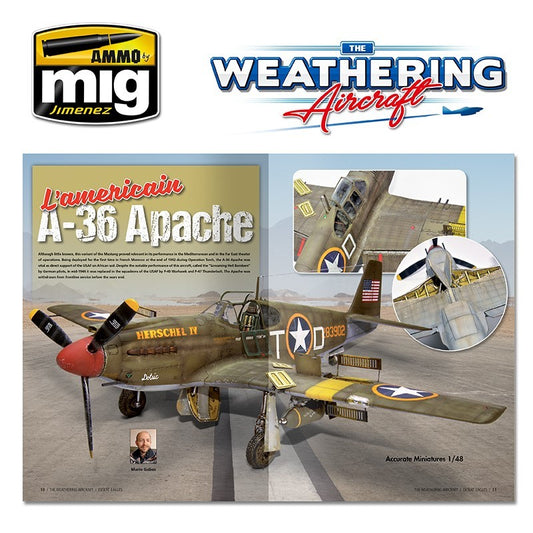 THE WEATHERING AIRCRAFT 9 - Desert Eagles (English)