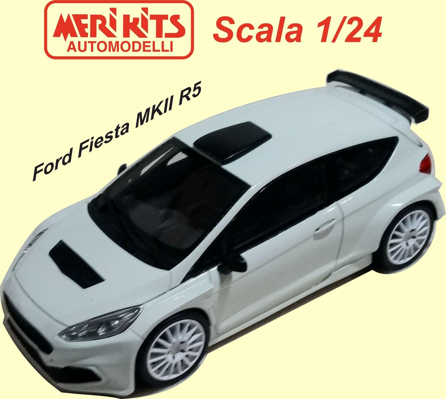FORD FIESTA MKII R5 RALLY CAR - RESIN KIT