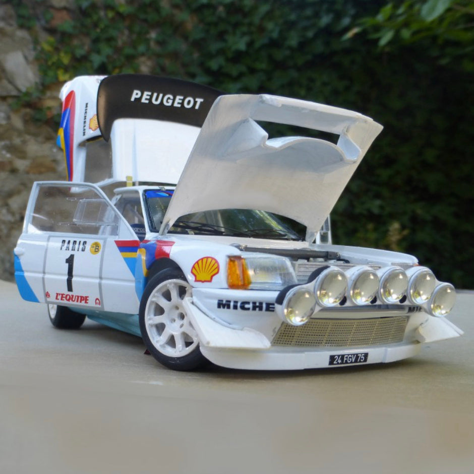 ☆激レア絶版*Provence完成品*1/43*Peugeot 205 Turbo 16 Evo2 #1