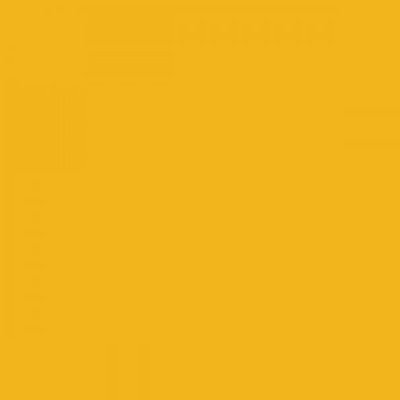 Ral 1003 Signal Yellow