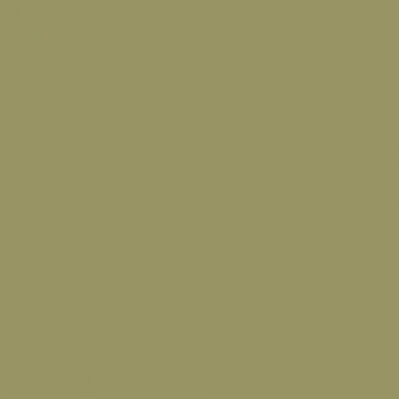 Ral 1020 Olive yellow